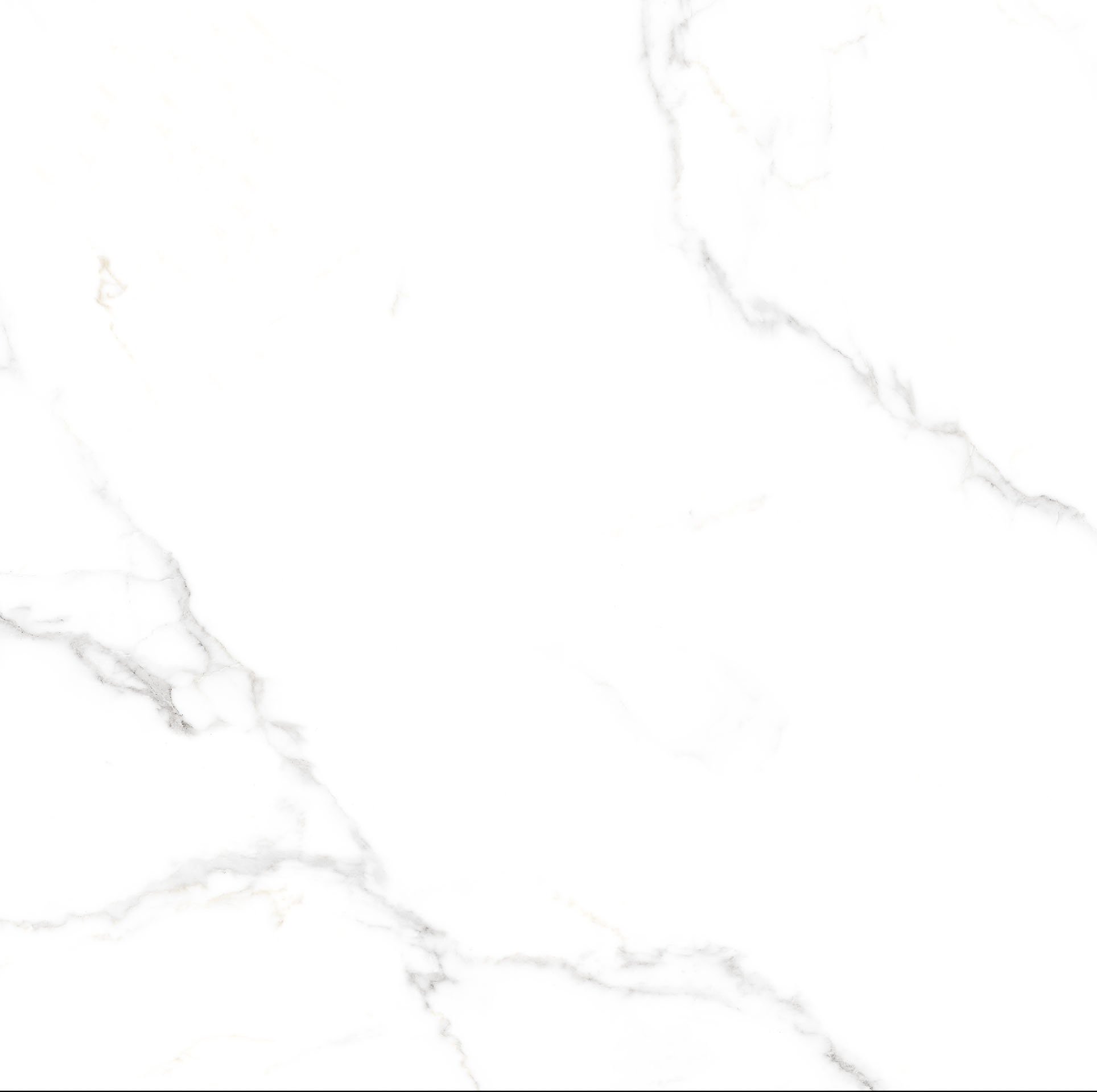 CS66019 24X24 MATTE 16SQFT